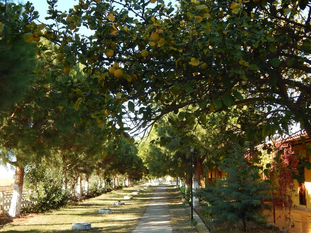 Koru Beach Club Gazipasa