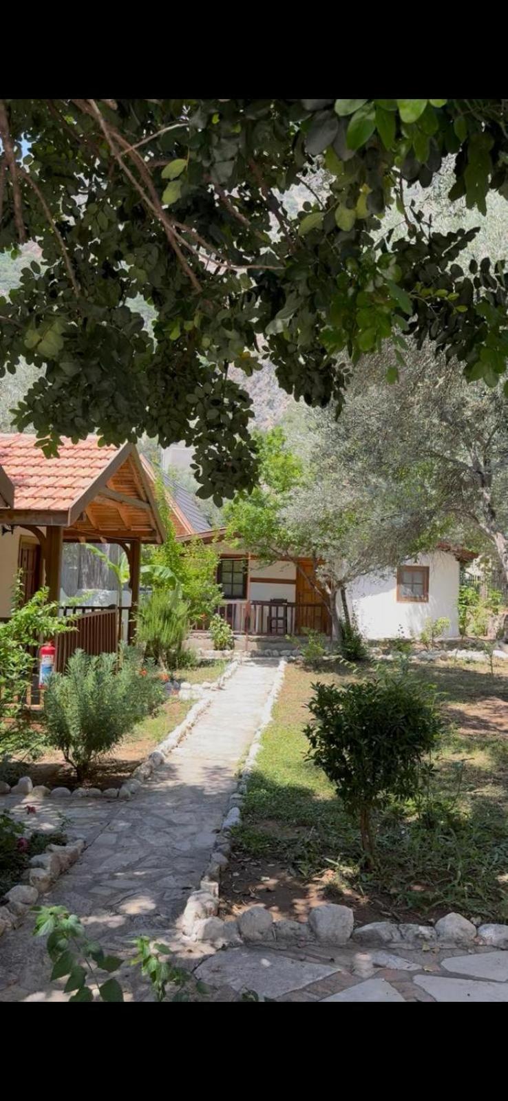 Kidrak Montenegro-1 Guest house *