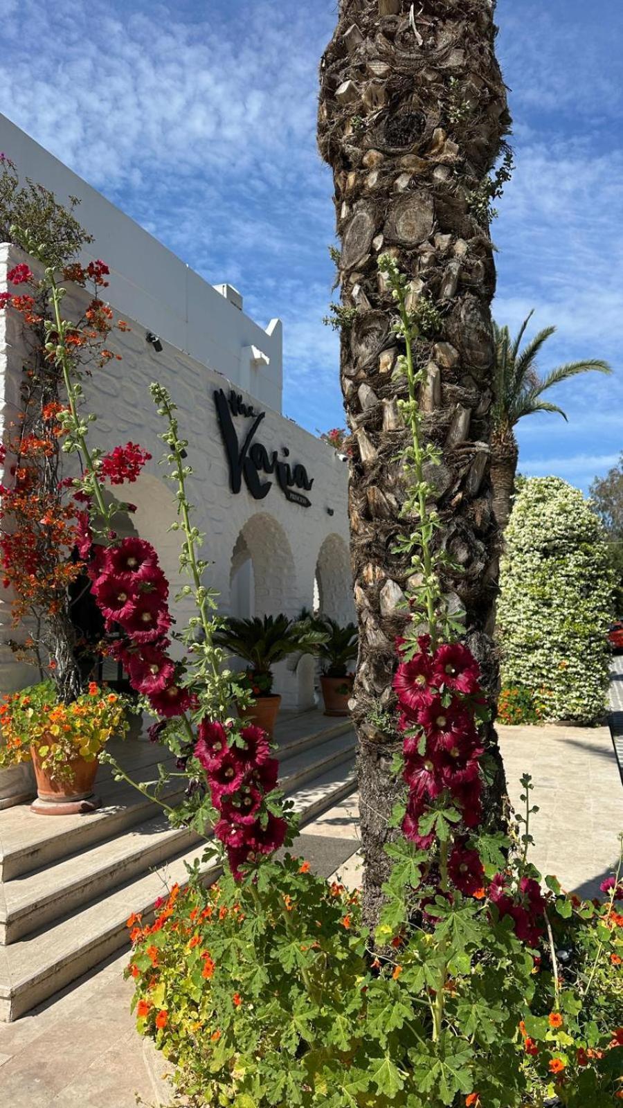 Karia Princess Hotel