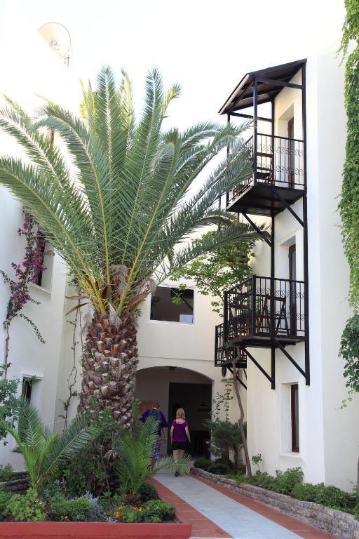Paloma Bodrum