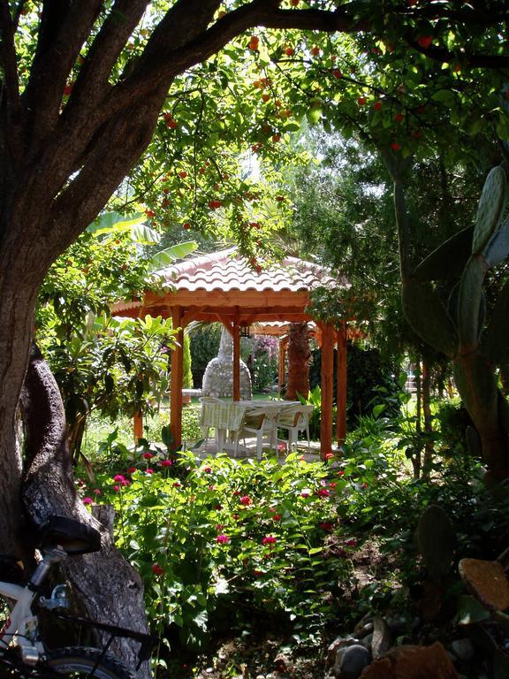 Garden *