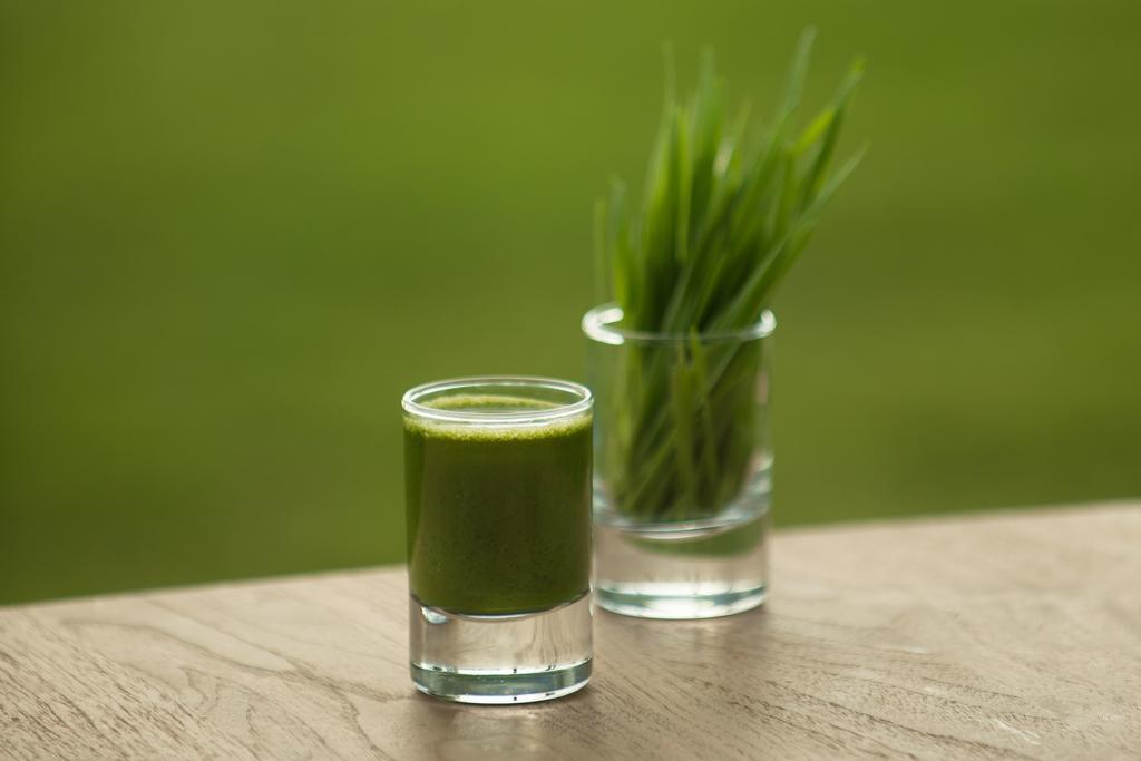 The Lifeco Bodrum Well-Being Detox Center And Vegan Hotel (Adults Only) Hotel Golturkbuku