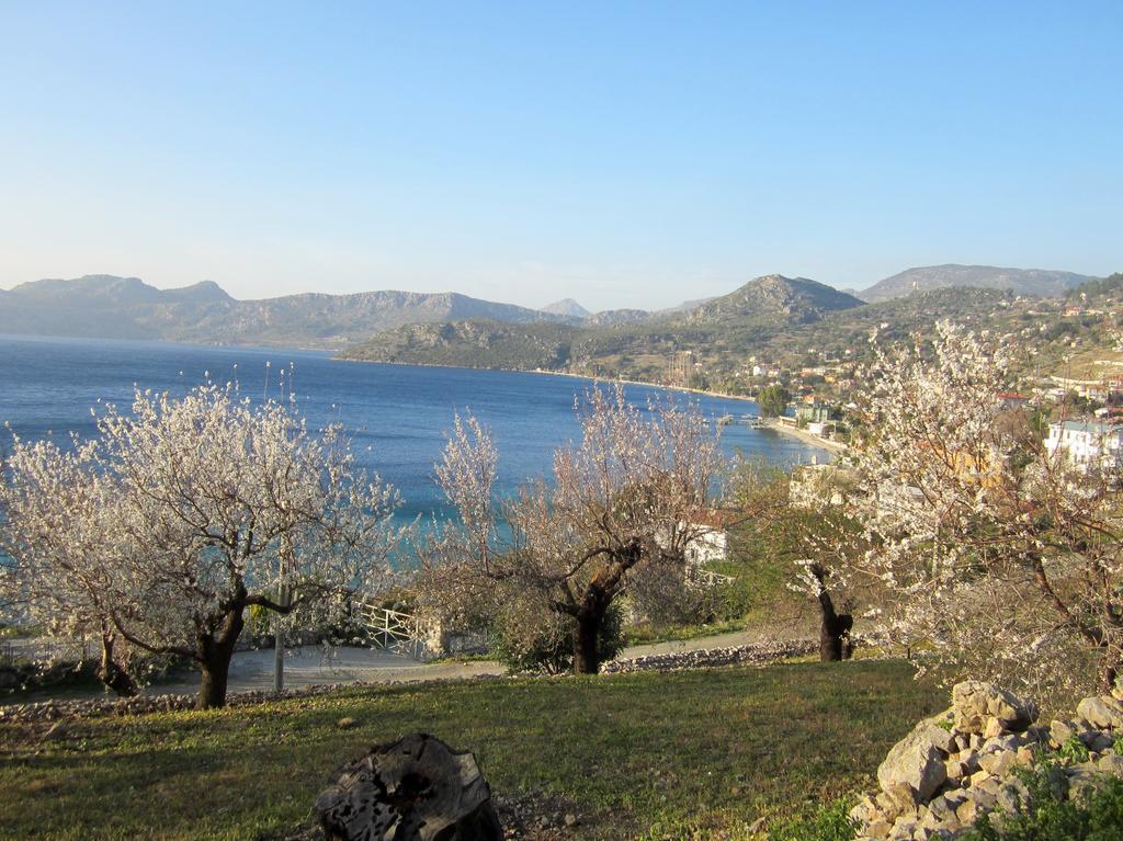 Saranda 2*