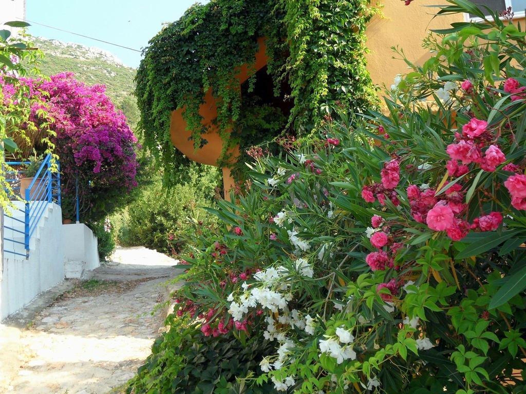 Guest house Saranda