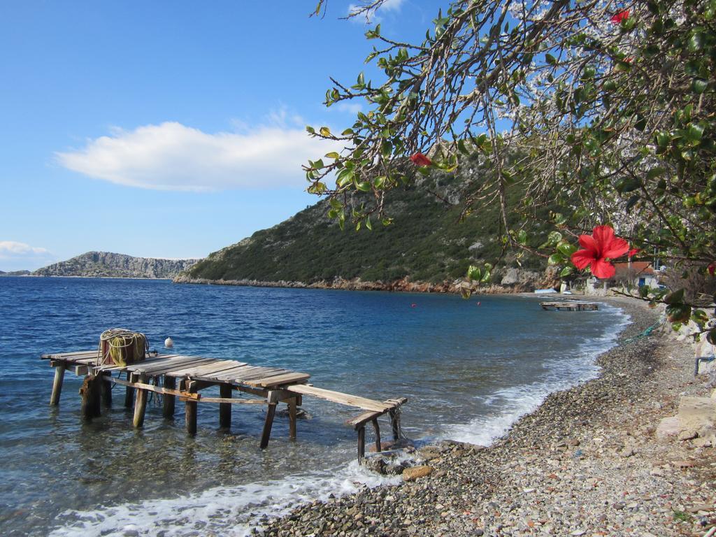 Guest house Saranda Sogut (Aegean)