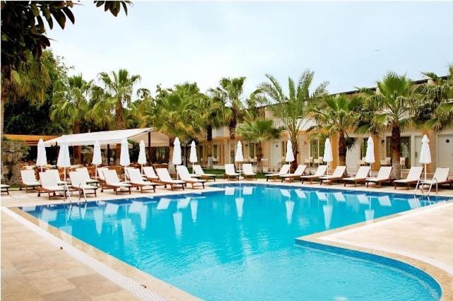 Sunprime Dogan - Adult Only Side