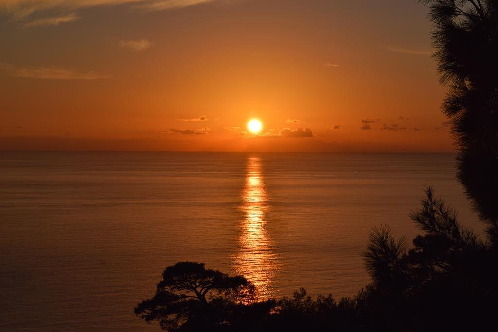 Kabak Avalon Lodge *