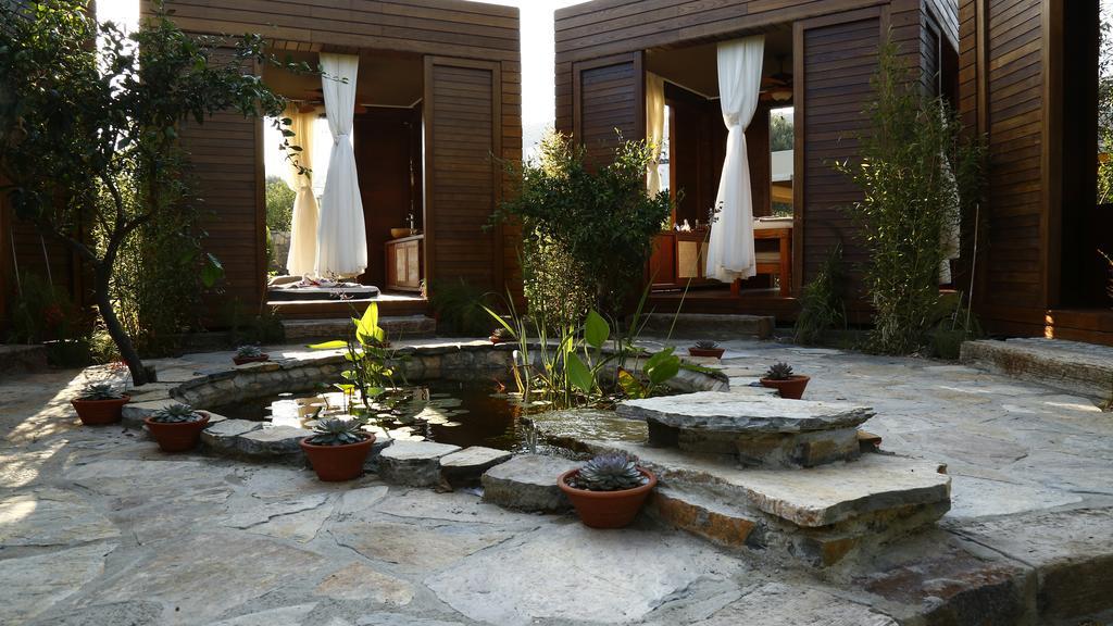 The Lifeco Bodrum Well-Being Detox Center And Vegan Hotel (Adults Only)