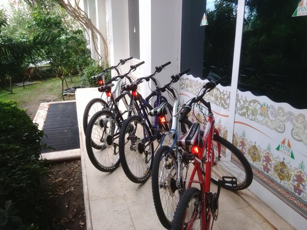 Hotel Pine House By Werde 4*
