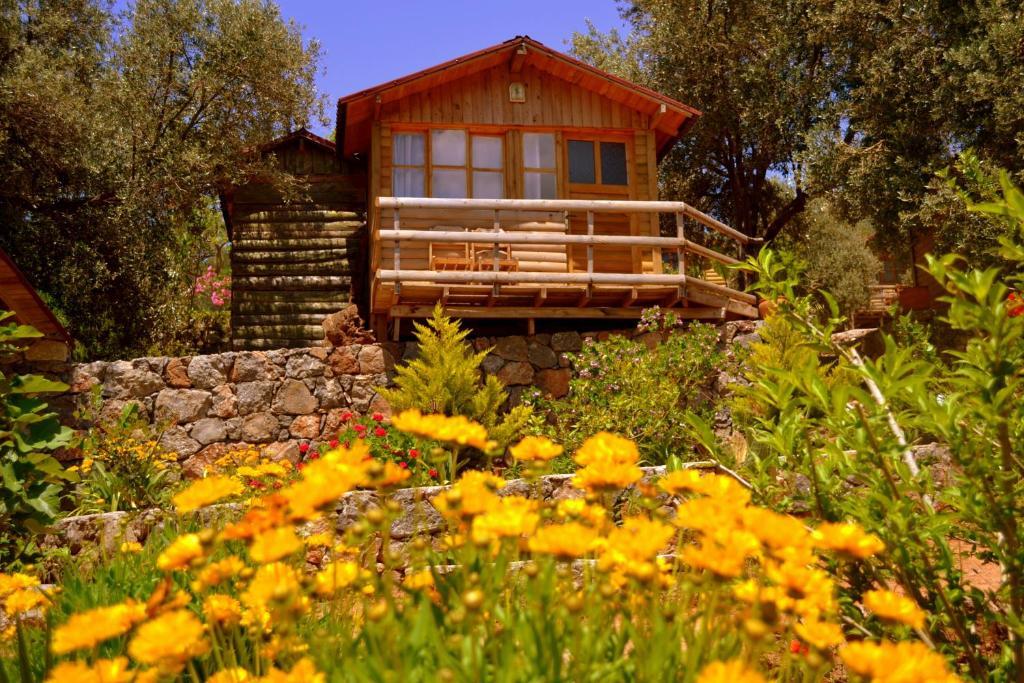 Olive Garden Kabak Holiday park 2*