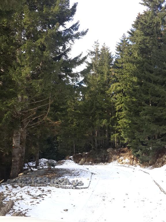 Aparthotel Dagevi Butik Uzungol