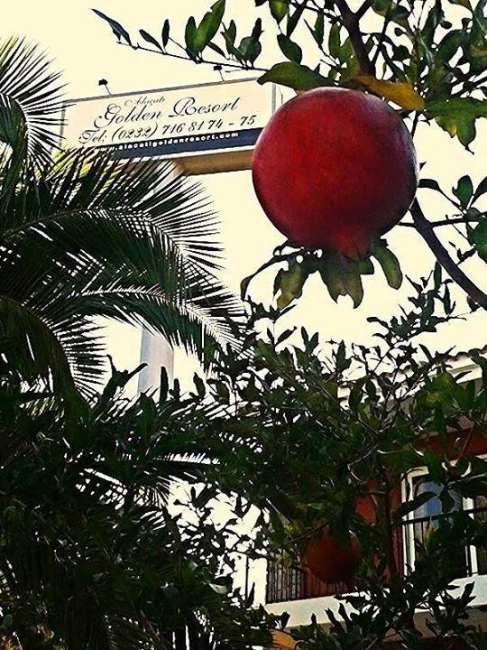 Hotel Alacati Golden Resort 3*