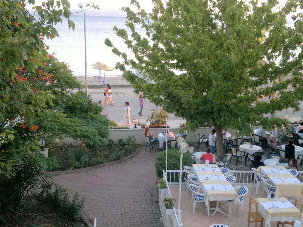 Arteka Hotel