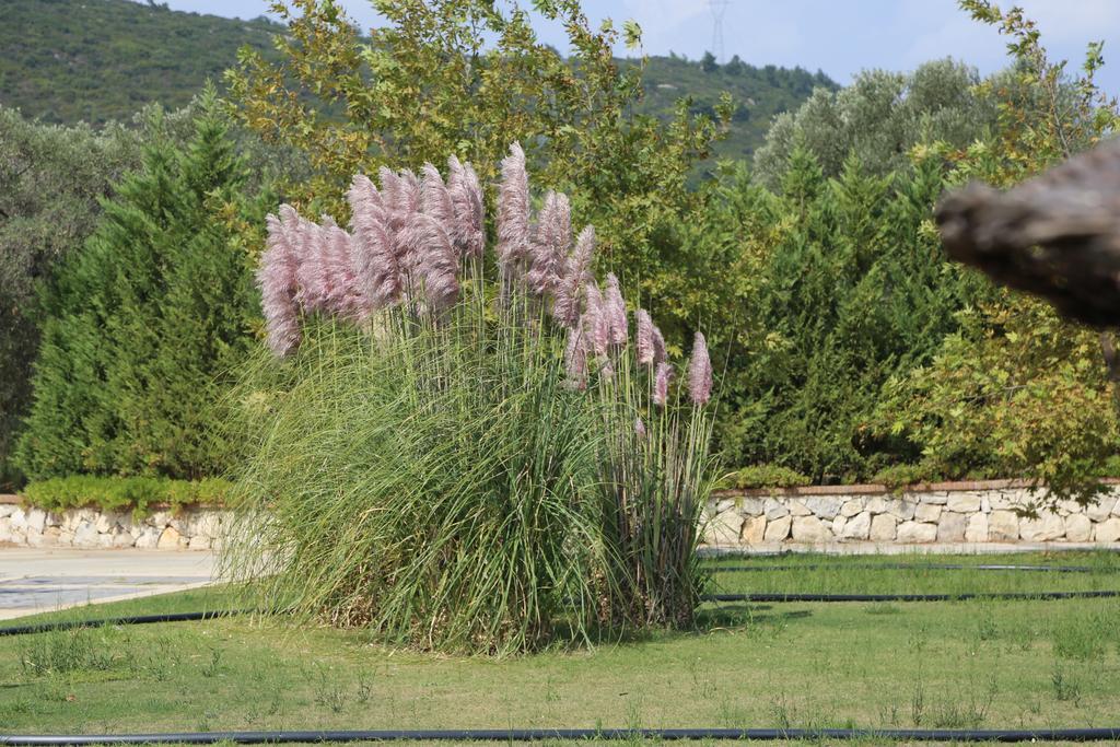 Konvoy & The Country Club Country house Seferihisar