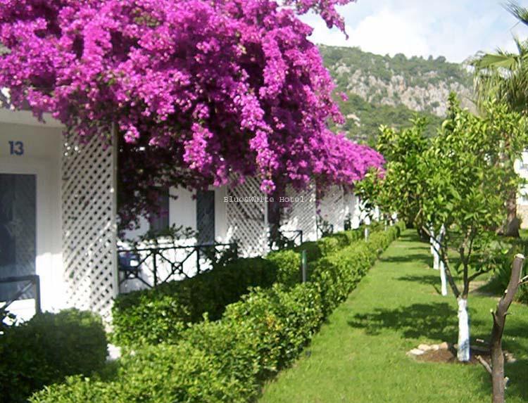 Holiday park Blue & White 3*
