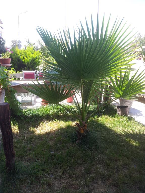 Aparthotel Birsin