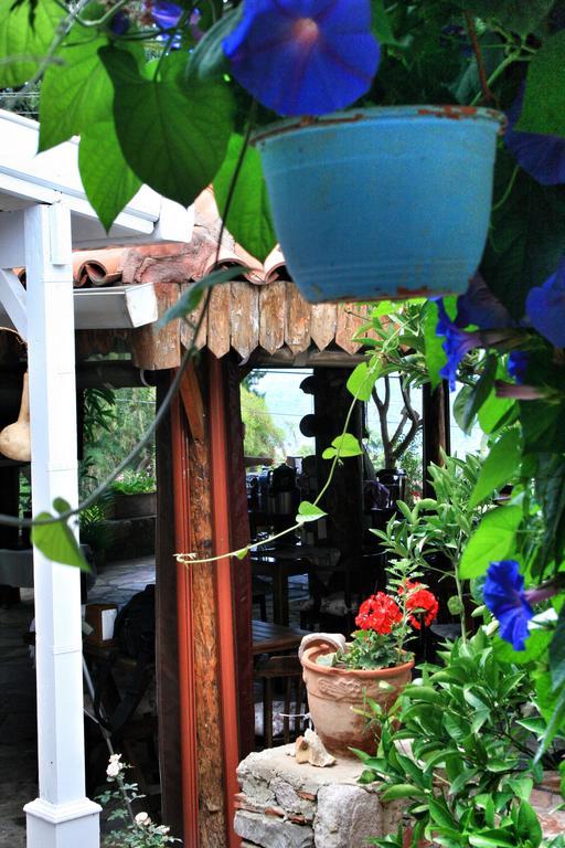 Herakles Bed & Breakfast *
