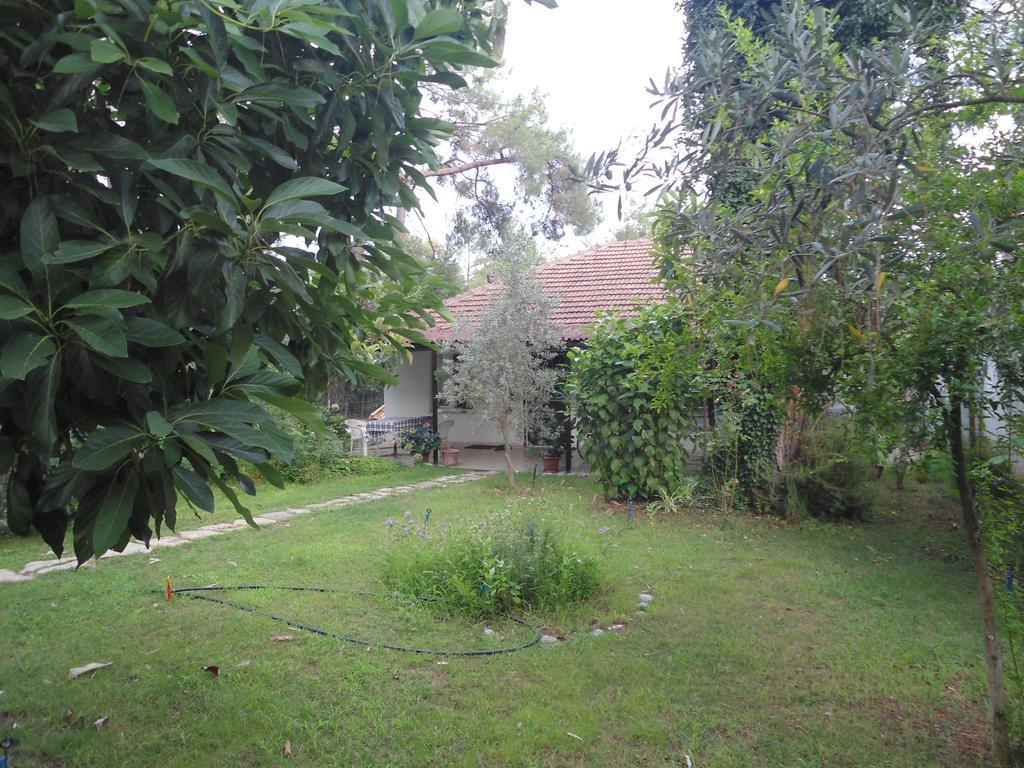 Campsite Halil Cirali