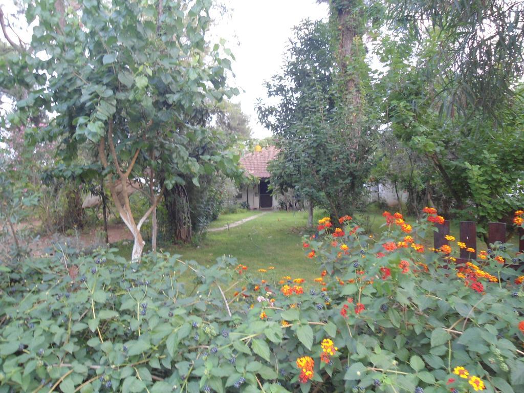Halil Campsite Cirali