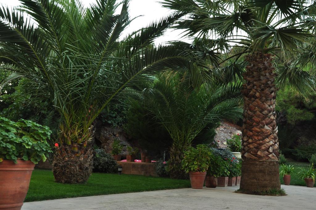 Palm Court Ayvalik