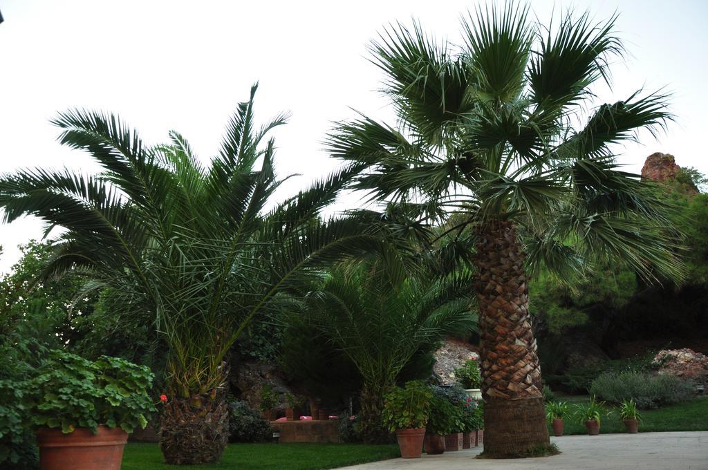 Palm Court
