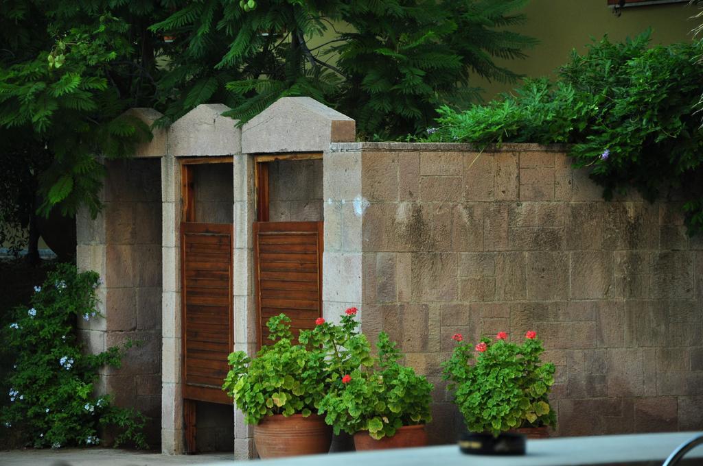 Bed & Breakfast Palm Court 3*