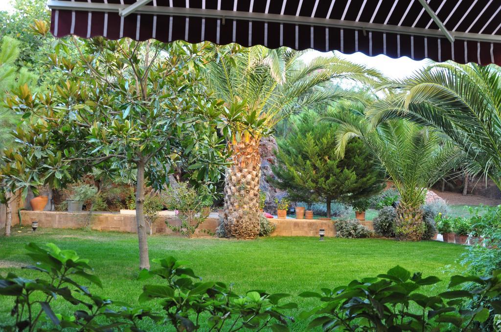 Palm Court Ayvalik