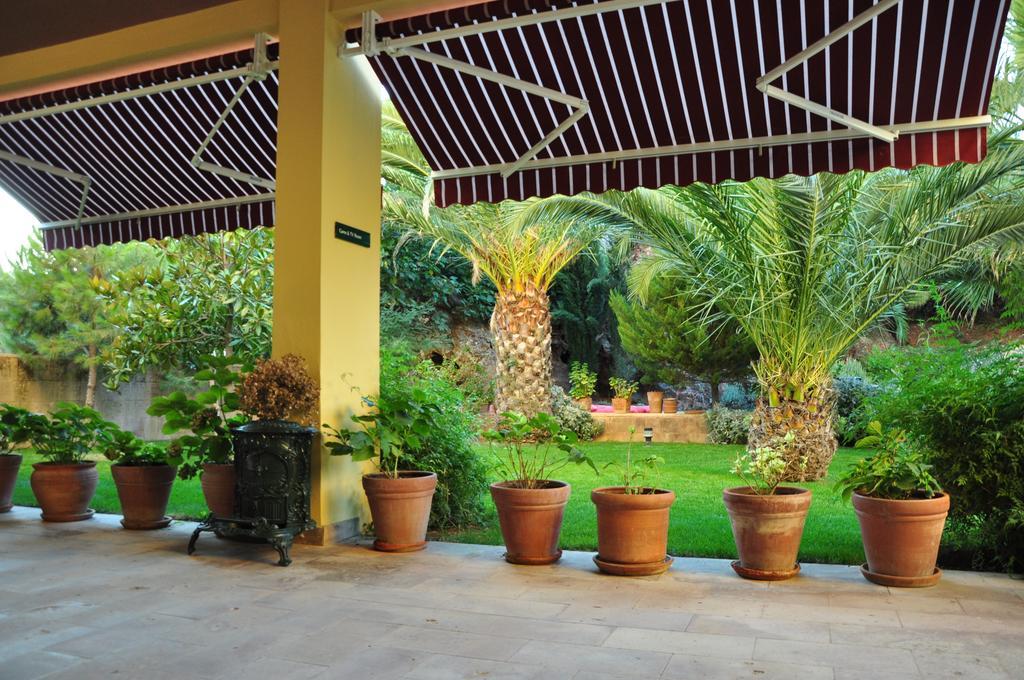 Bed & Breakfast Palm Court