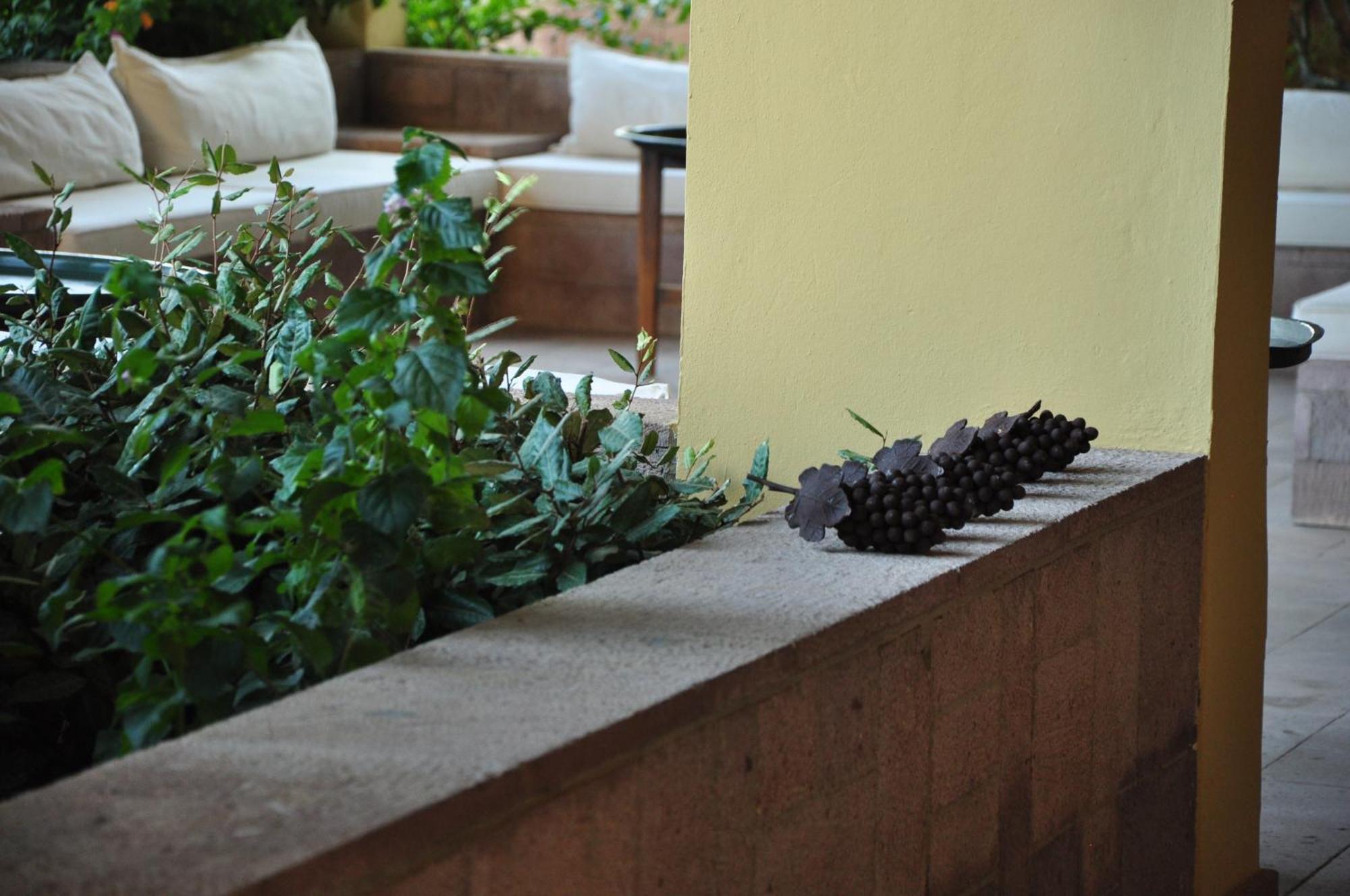 Palm Court 3*
