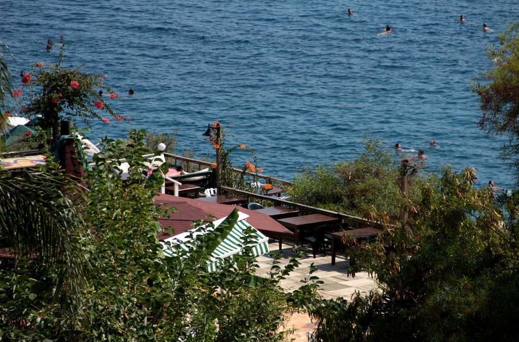 Hotel Koza 2*