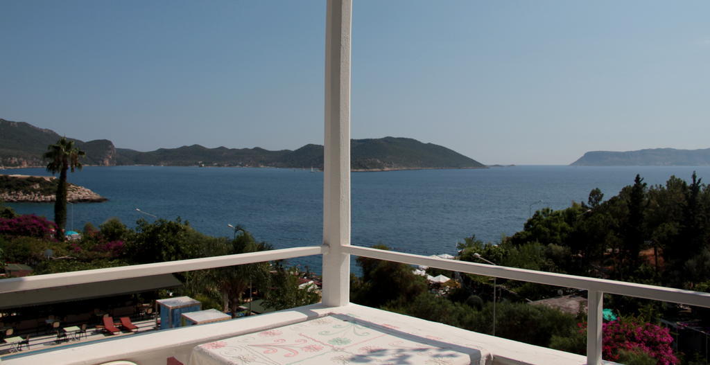 Koza