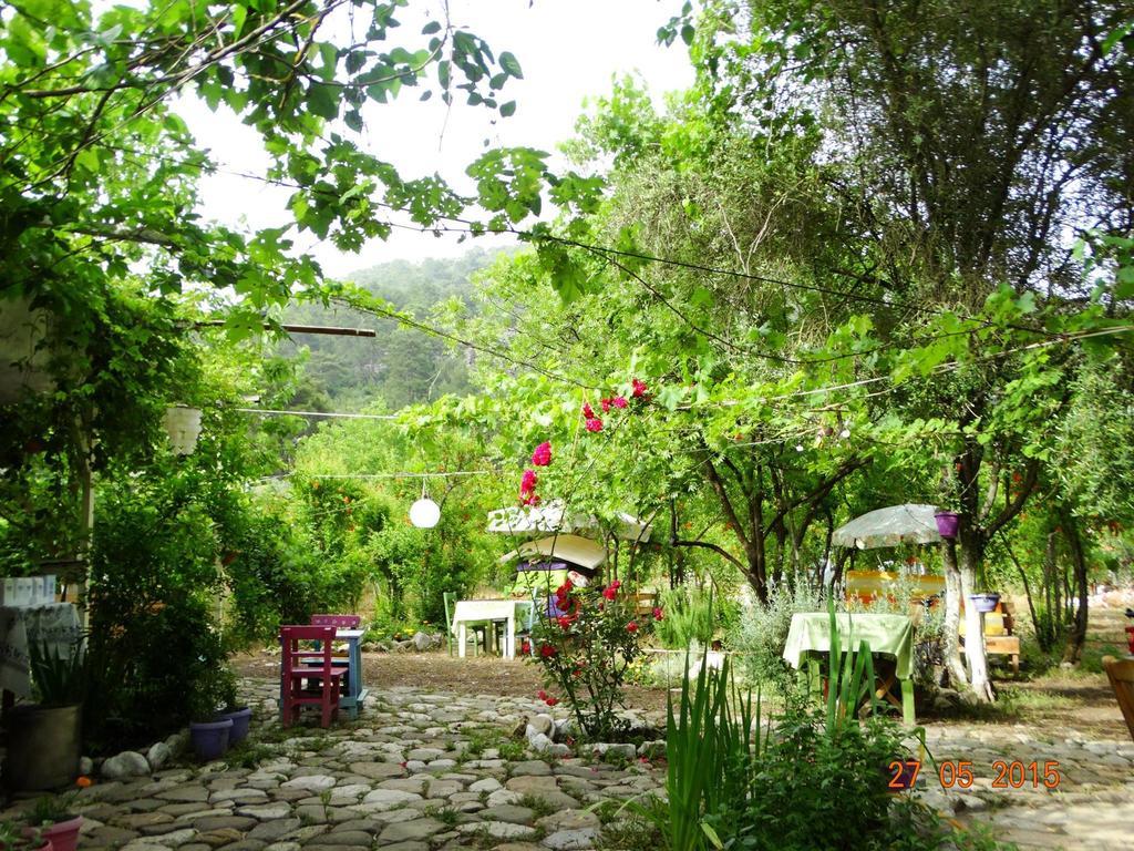 Nar Guest house