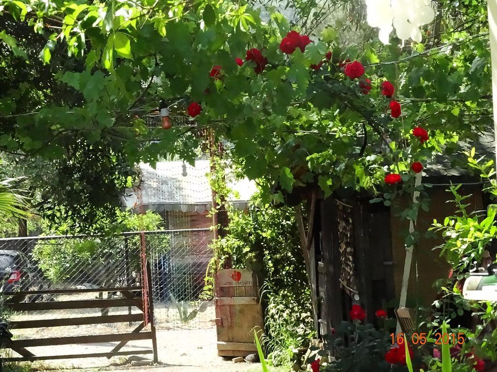 Nar Guest house Olympos