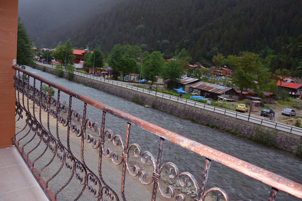 Kuzey Park Demirli