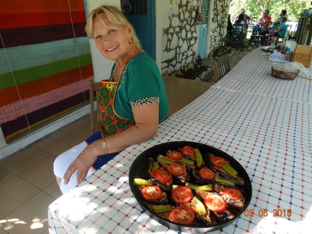 Guest house Nar Olympos