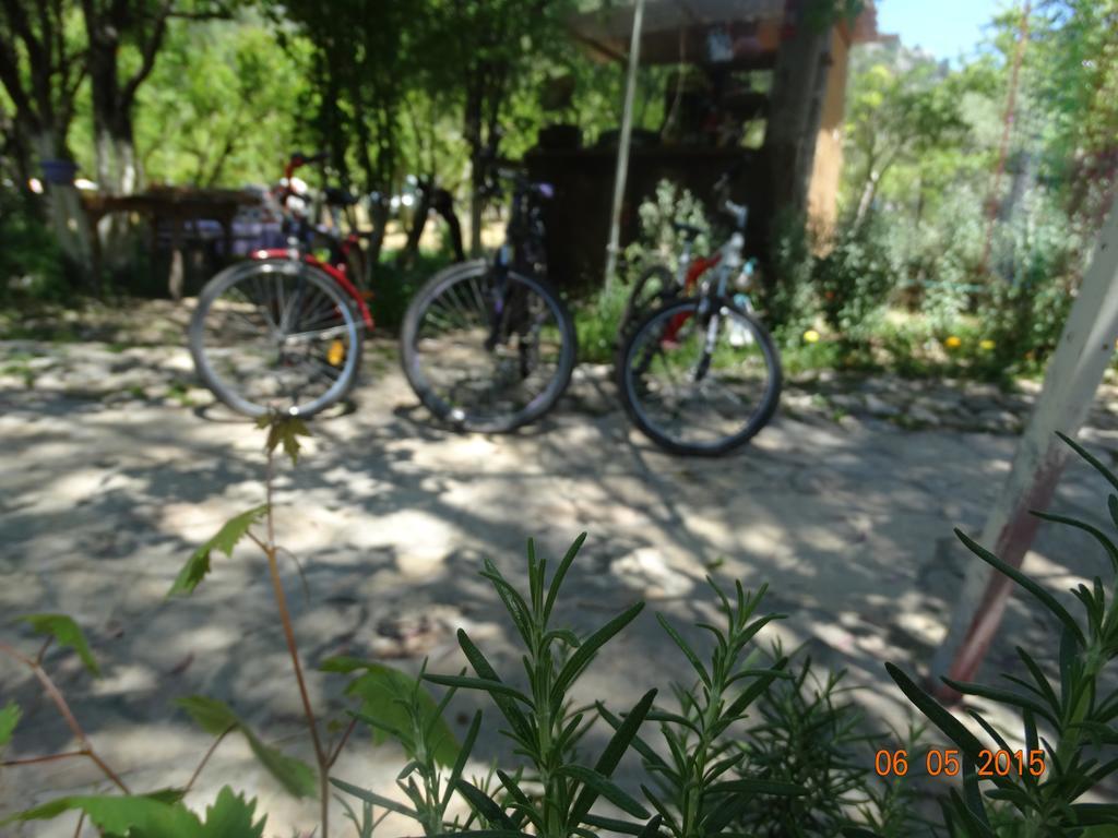 Guest house Nar