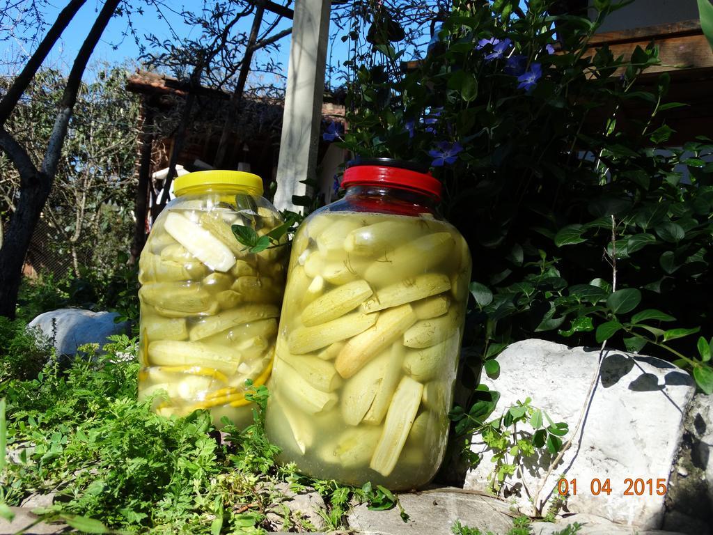 Nar Guest house Olympos