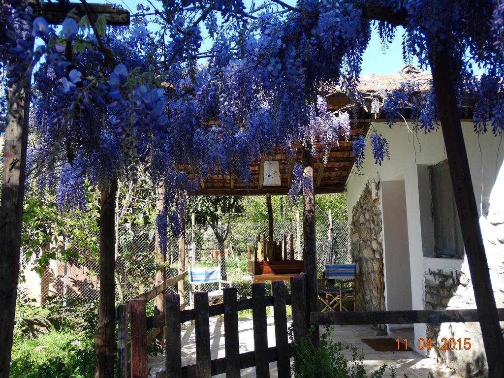 Guest house Nar *
