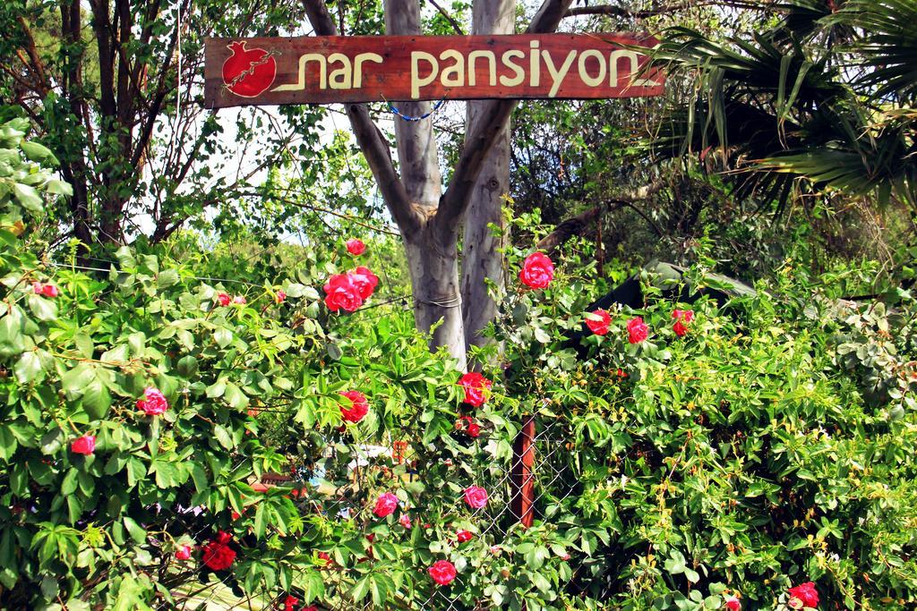 Nar Guest house Olympos