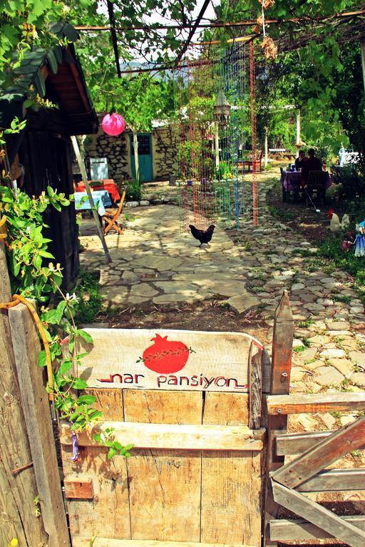 Guest house Nar *