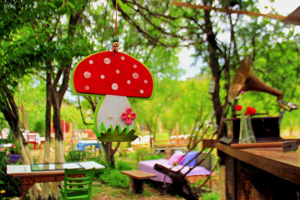 Guest house Nar *