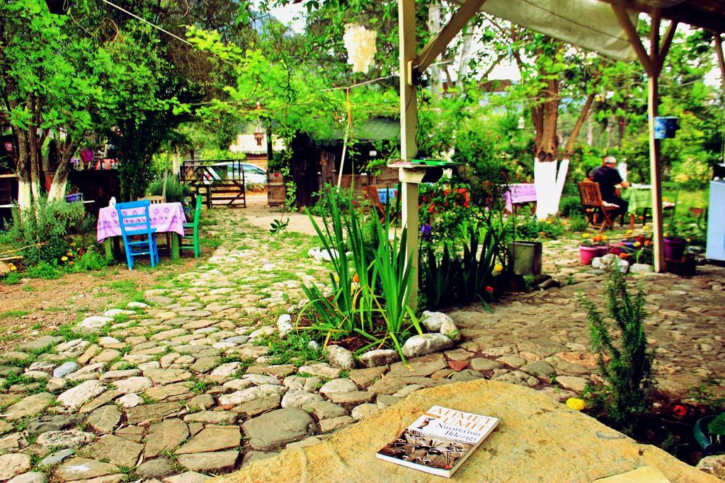 Guest house Nar