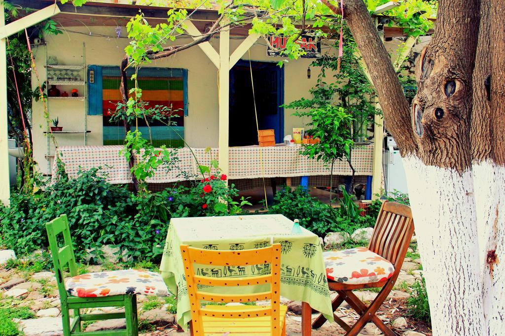 Nar Guest house *