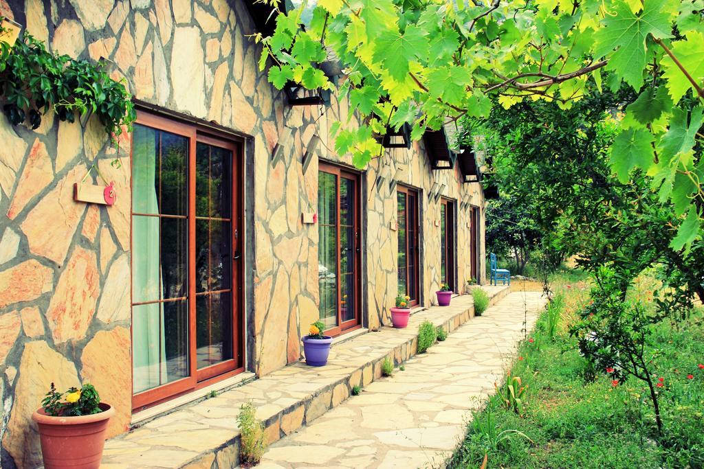 Guest house Nar