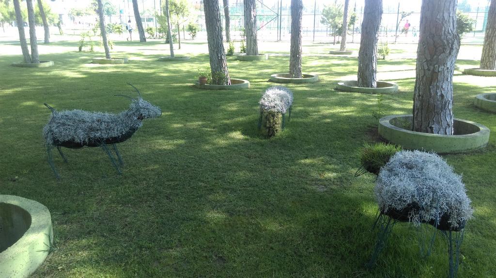 Resort Zeynep
