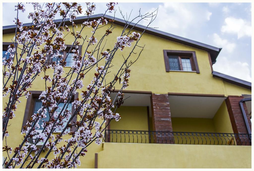 Hotel Seyir 3*