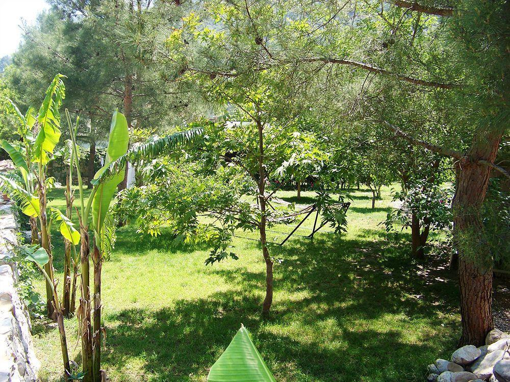 Guest house Arya Cirali
