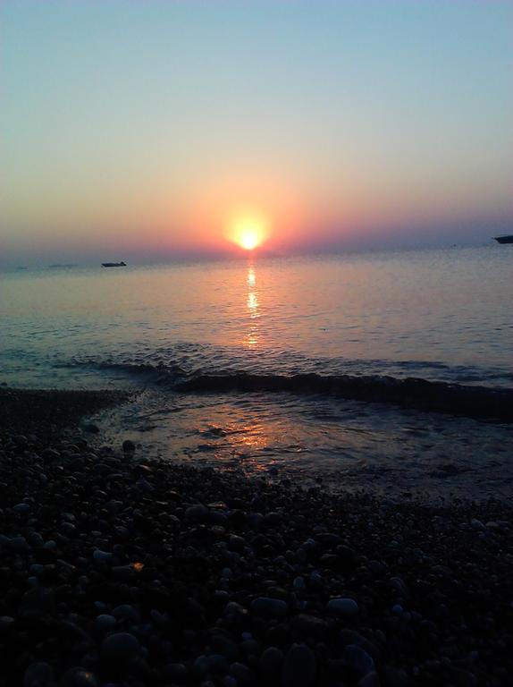 Olympos Yavuz