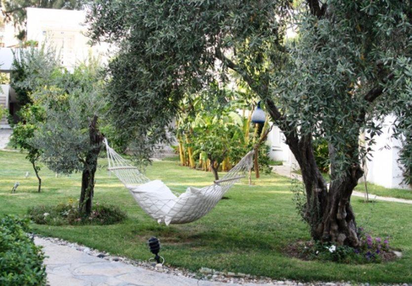 Hotel Mavi Turkbuku 3*