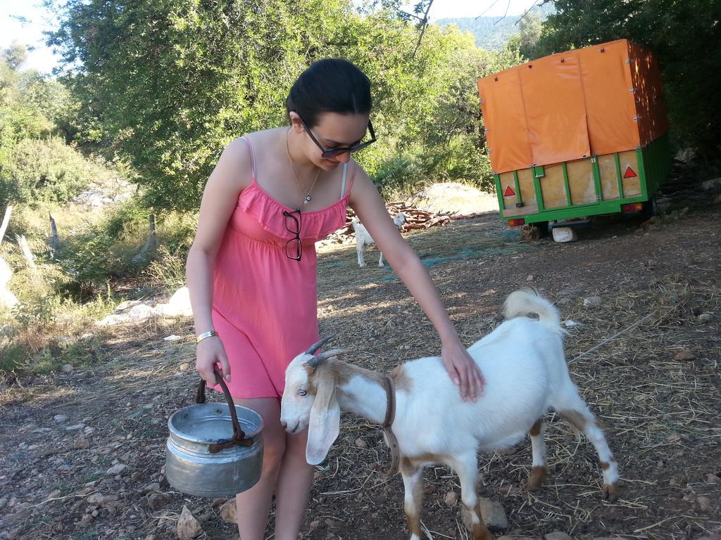 Beymelek Tas Evler Demre